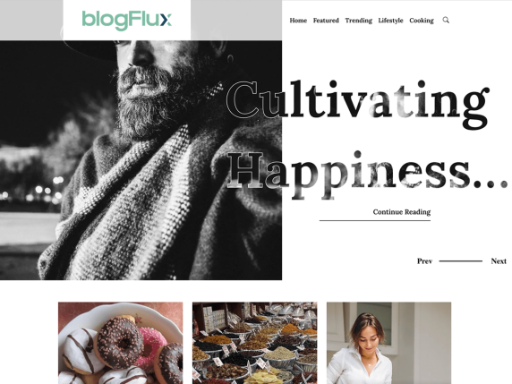 Blogflux Wordpress Theme